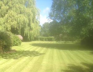 Fencers and landscapers in Ashford